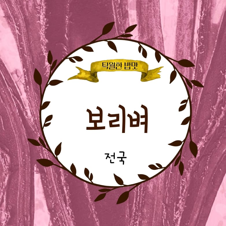 보리벼